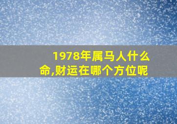 1978年属马人什么命,财运在哪个方位呢