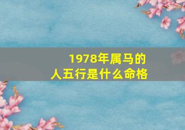 1978年属马的人五行是什么命格