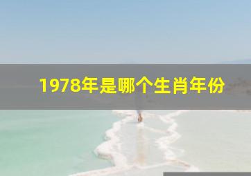 1978年是哪个生肖年份