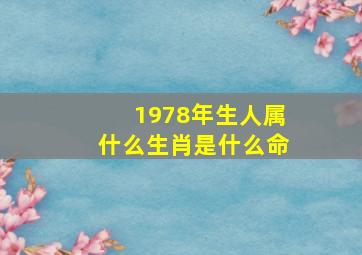 1978年生人属什么生肖是什么命