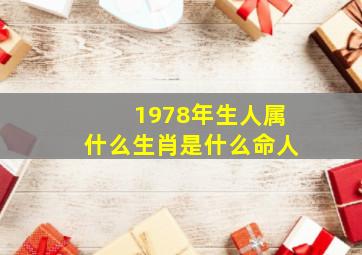 1978年生人属什么生肖是什么命人