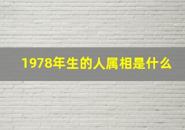 1978年生的人属相是什么