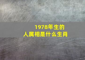 1978年生的人属相是什么生肖