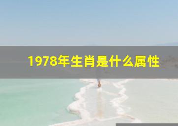 1978年生肖是什么属性