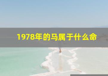 1978年的马属于什么命