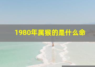 1980年属猴的是什么命