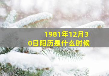 1981年12月30日阳历是什么时候