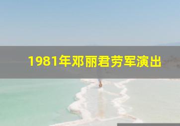 1981年邓丽君劳军演出