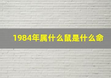 1984年属什么鼠是什么命