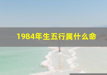 1984年生五行属什么命