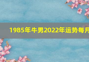 1985年牛男2022年运势每月