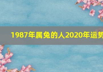 1987年属兔的人2020年运势