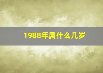 1988年属什么几岁