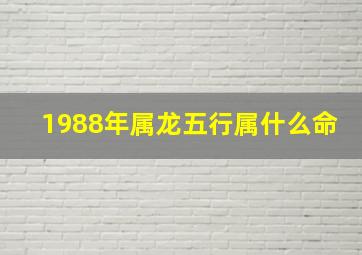 1988年属龙五行属什么命