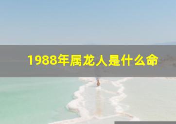 1988年属龙人是什么命