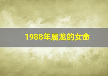 1988年属龙的女命