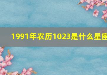 1991年农历1023是什么星座