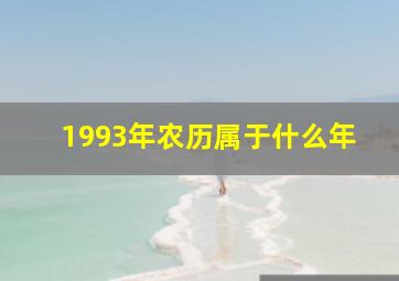 1993年农历属于什么年