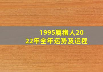 1995属猪人2022年全年运势及运程