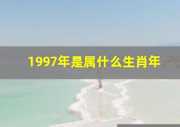 1997年是属什么生肖年