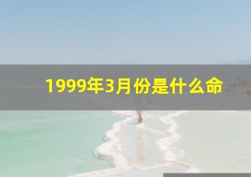 1999年3月份是什么命