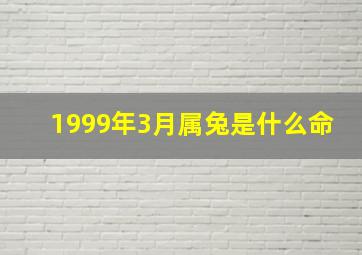 1999年3月属兔是什么命