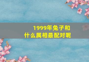 1999年兔子和什么属相最配对呢