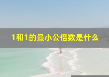 1和1的最小公倍数是什么