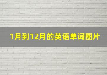 1月到12月的英语单词图片