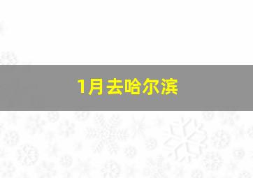 1月去哈尔滨