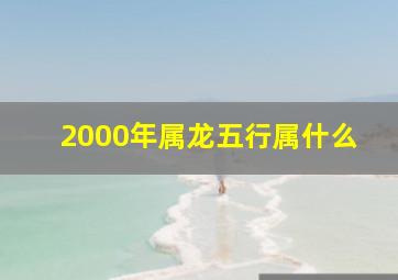 2000年属龙五行属什么