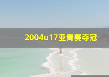 2004u17亚青赛夺冠