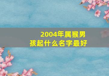 2004年属猴男孩起什么名字最好