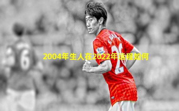 2004年生人在2022年运程如何