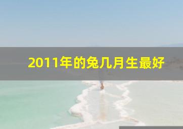 2011年的兔几月生最好