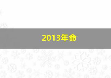 2013年命