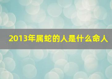 2013年属蛇的人是什么命人