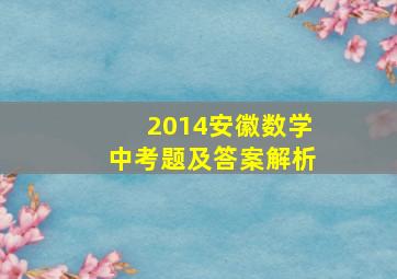 2014安徽数学中考题及答案解析