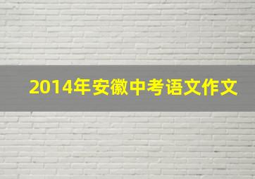 2014年安徽中考语文作文