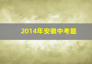 2014年安徽中考题