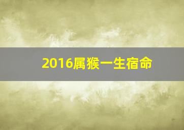 2016属猴一生宿命