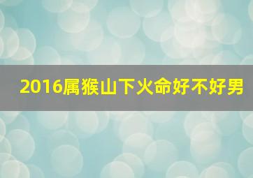 2016属猴山下火命好不好男