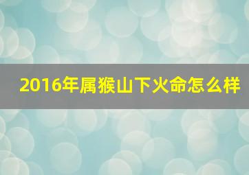 2016年属猴山下火命怎么样