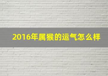 2016年属猴的运气怎么样