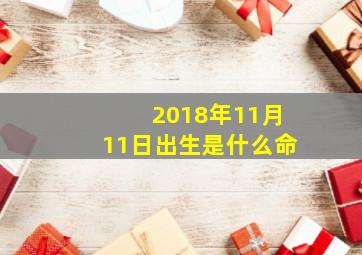 2018年11月11日出生是什么命