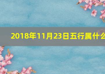 2018年11月23日五行属什么