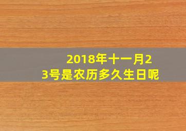 2018年十一月23号是农历多久生日呢