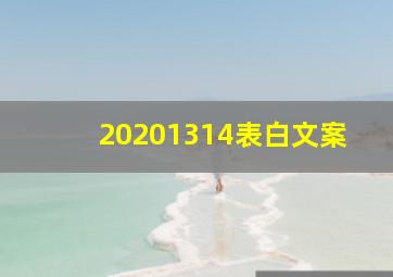 20201314表白文案