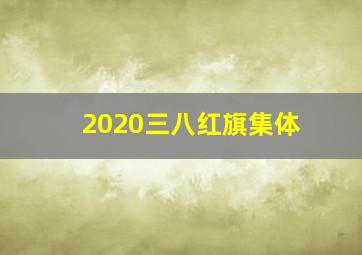 2020三八红旗集体