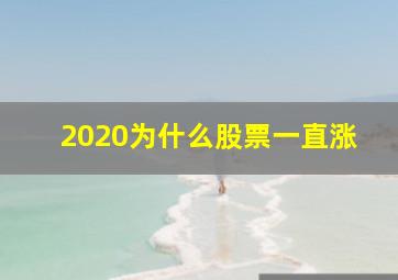 2020为什么股票一直涨